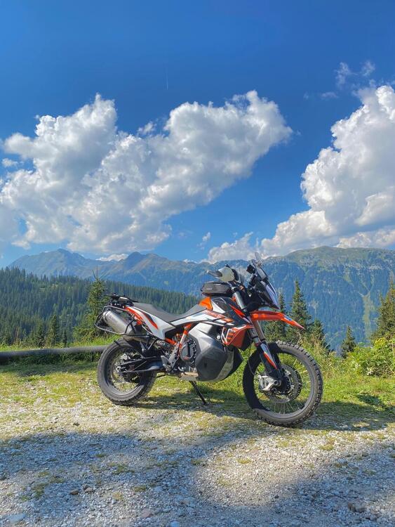 KTM 890 Adventure R (2021) (2)