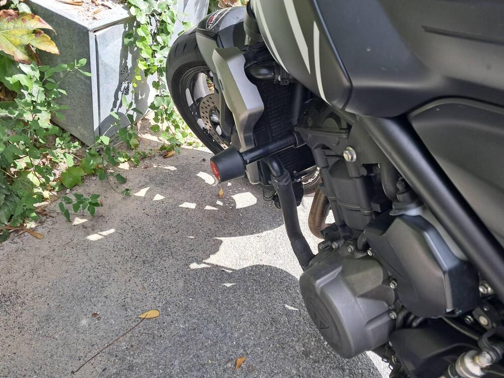 Triumph Trident 660 (2021 - 24) (5)