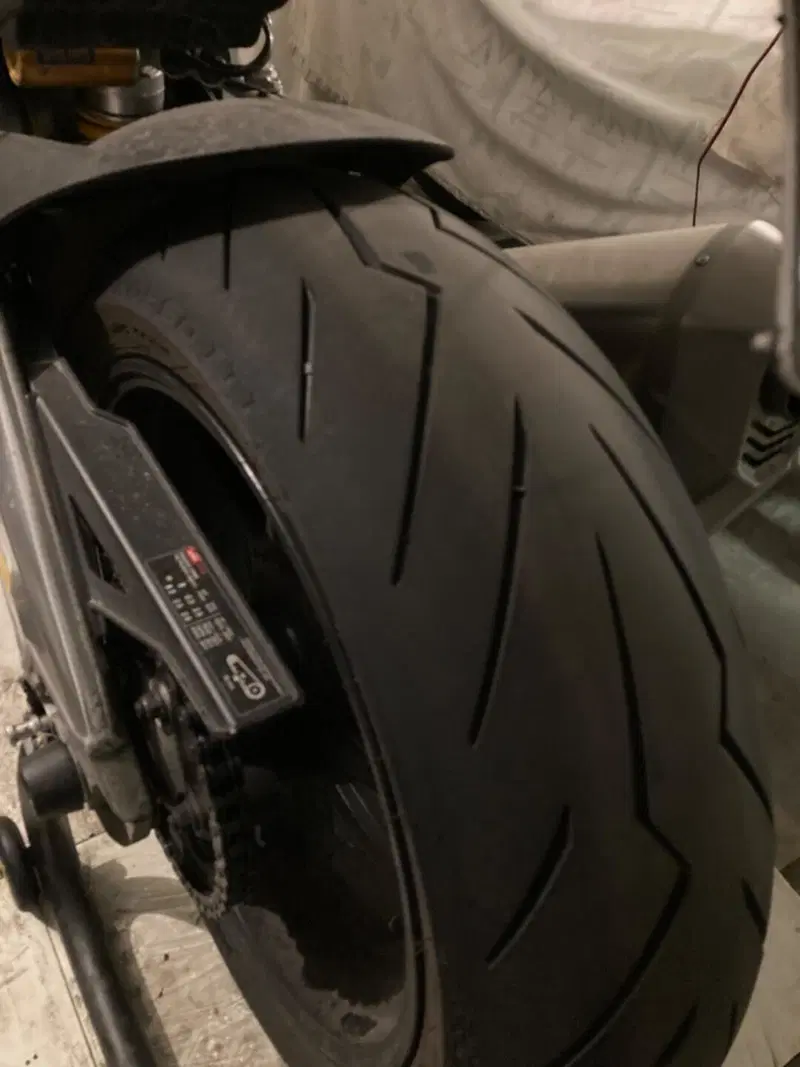 Aprilia Tuono V4 Factory (2019 - 20) (7)
