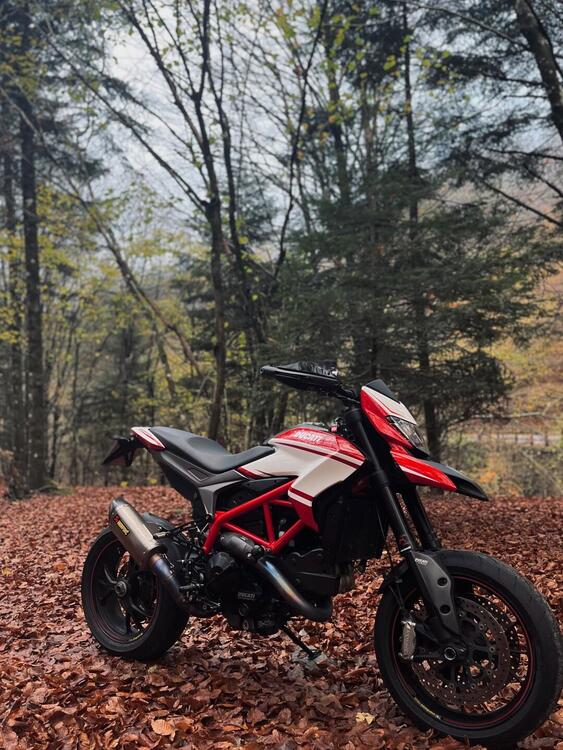 Ducati Hypermotard 821 SP (2013 - 15) (2)