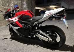 Honda CBR 600 RR (2009 - 12) usata
