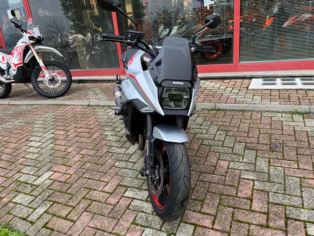 Suzuki Katana 1000 Jindachi (2019 - 20) (5)