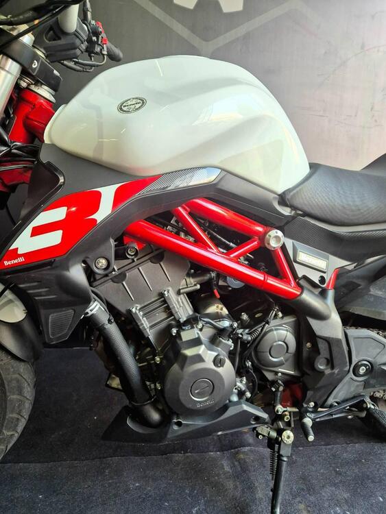 Benelli BN 302 S (2019 - 20) (5)