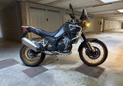 Kove 800X Pro (2024 - 26) usata