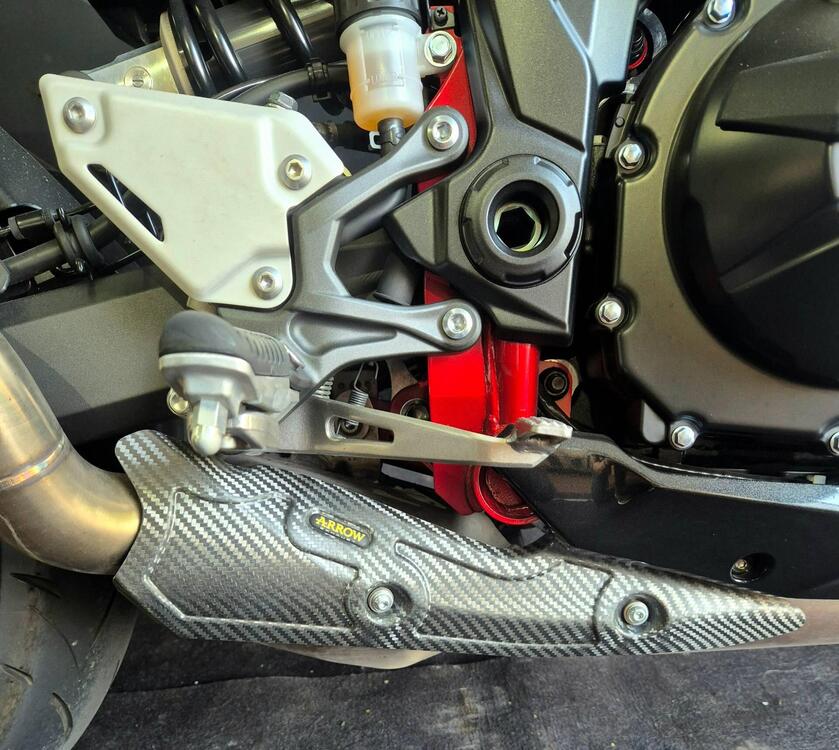 Kawasaki Z 900 A2 (2021 - 24) (5)