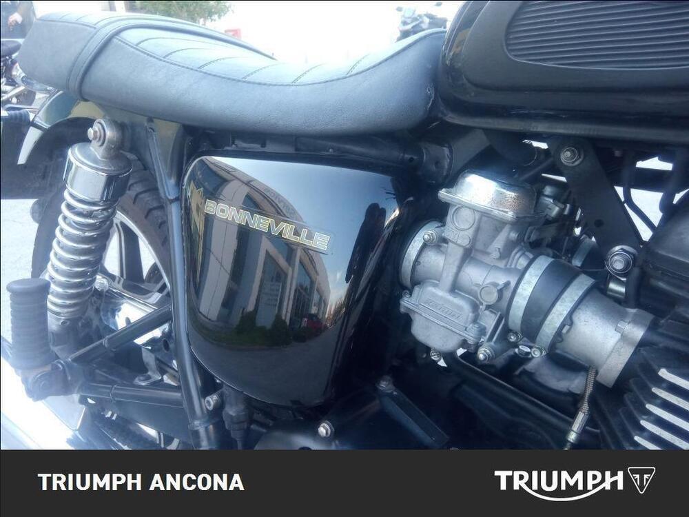 Triumph Bonneville SE (2009 - 13) (3)
