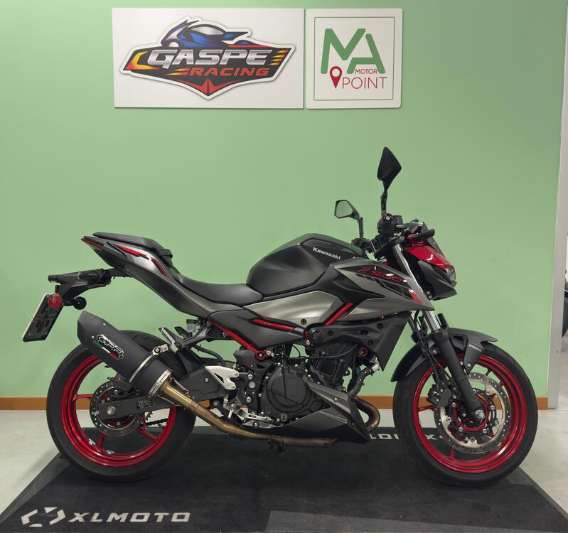 Kawasaki Z 500 SE (2024 - 26)