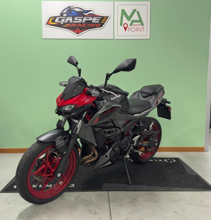 Kawasaki Z 500 SE (2024 - 26) (3)