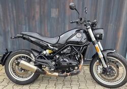 Benelli Leoncino 500 Trail (2021 - 25) usata