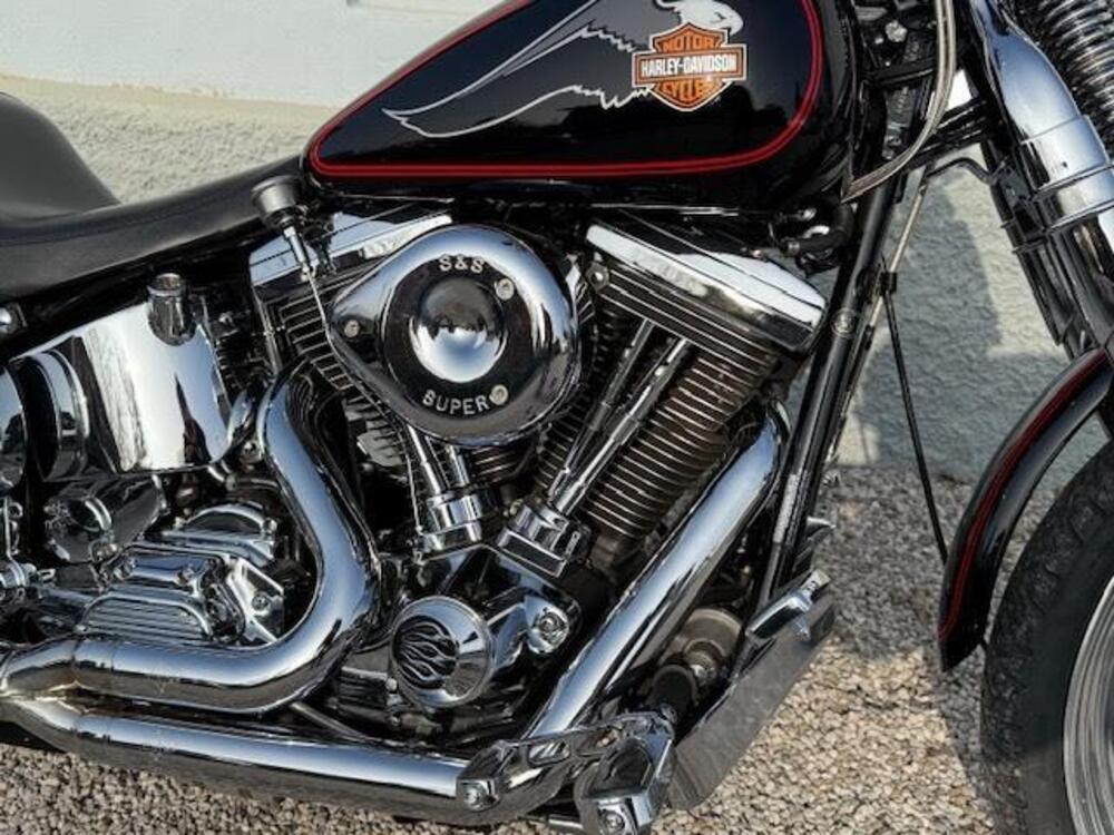 Harley-Davidson 1340 Springer (1990 - 98) - FXSTS (3)