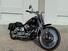 Harley-Davidson 1340 Springer (1990 - 98) - FXSTS (8)