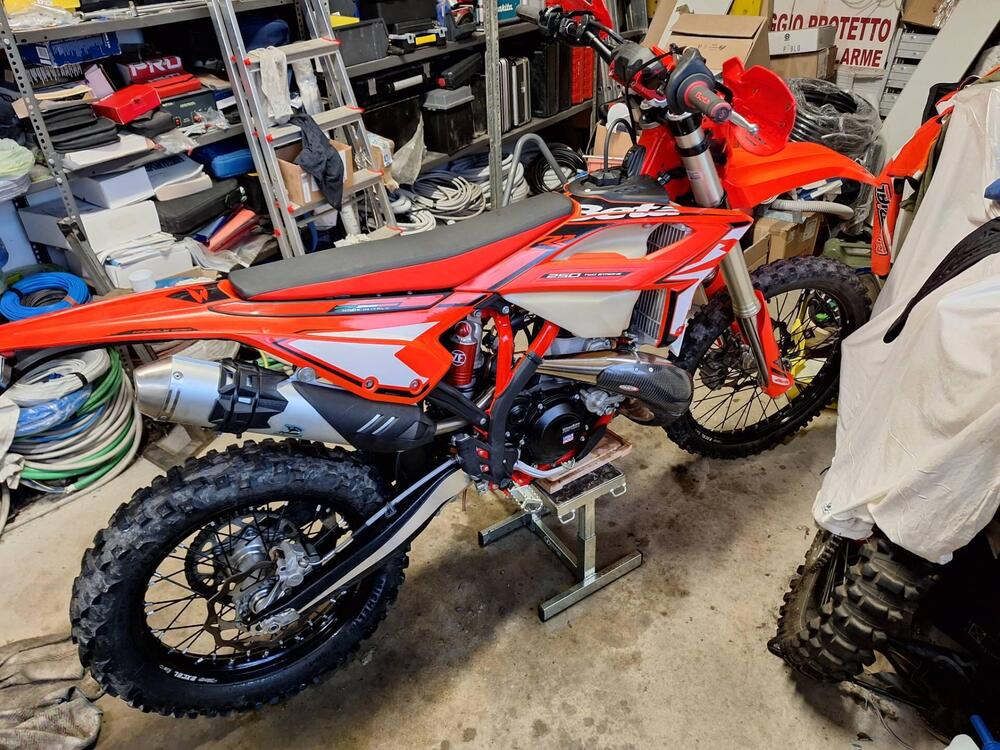 Betamotor RR 250 2T Enduro (2024) (4)