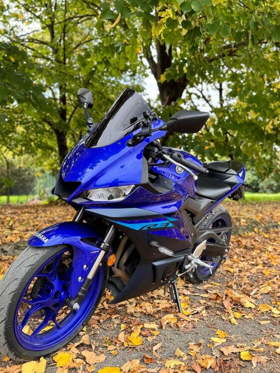 Yamaha YZF R3 (2021 - 24) (2)