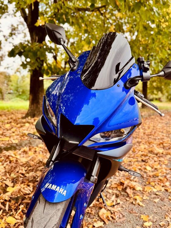 Yamaha YZF R3 (2021 - 24) (3)