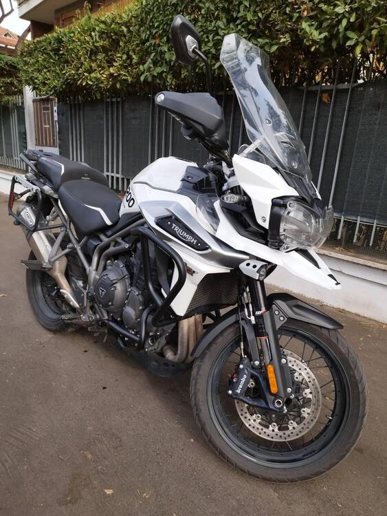 Triumph Tiger 1200 Alpine Edition (2020) (2)