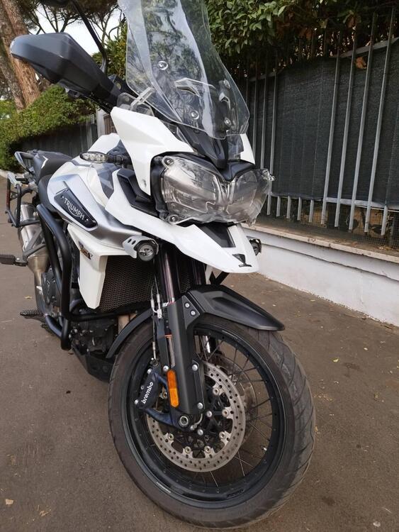 Triumph Tiger 1200 Alpine Edition (2020) (3)