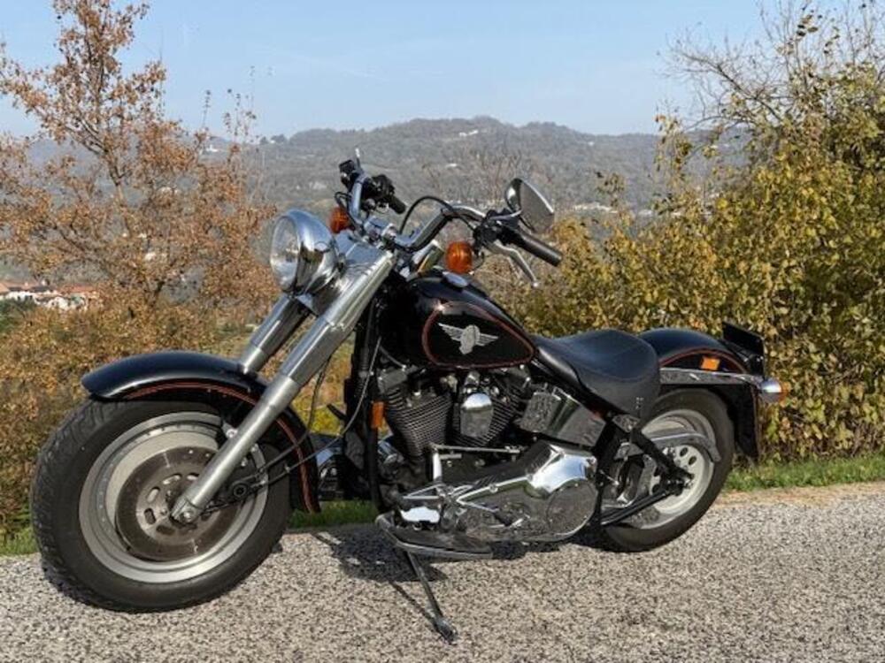 Harley-Davidson softail Fat Boy  (4)