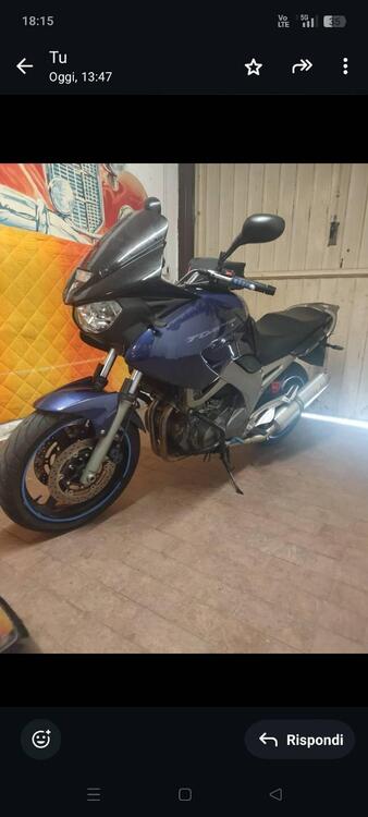 Yamaha TDM 900 (2002 - 14) (3)