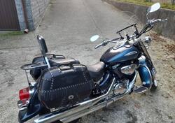 Suzuki VL 800 Intruder Volusia (2000 - 04) usata