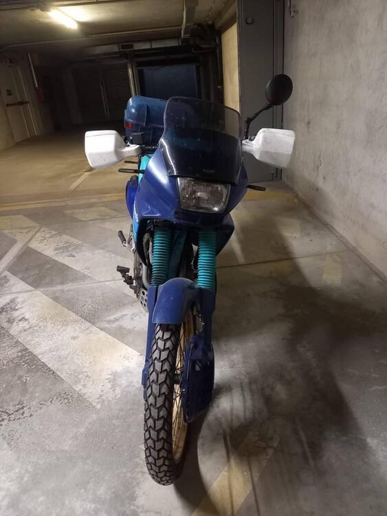 Honda Dominator  (3)