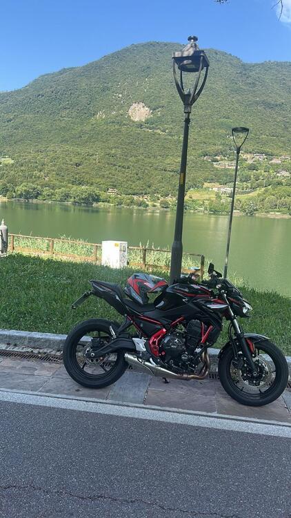 Kawasaki Z 650 (2025 - 26)