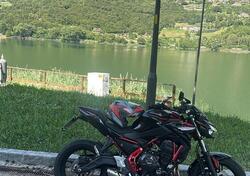 Kawasaki Z 650 (2025 - 26) usata