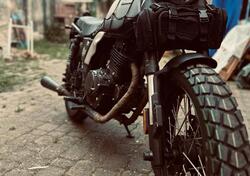 Brixton Motorcycles Felsberg 250 (2021 - 25) usata