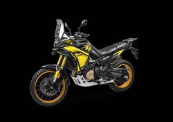 Voge Valico 800DSX Rally (2025) nuova