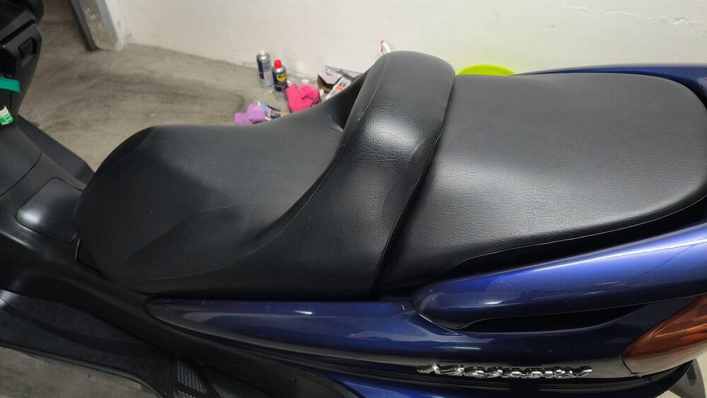 Yamaha Majesty 250 DX (1998 - 02) (3)