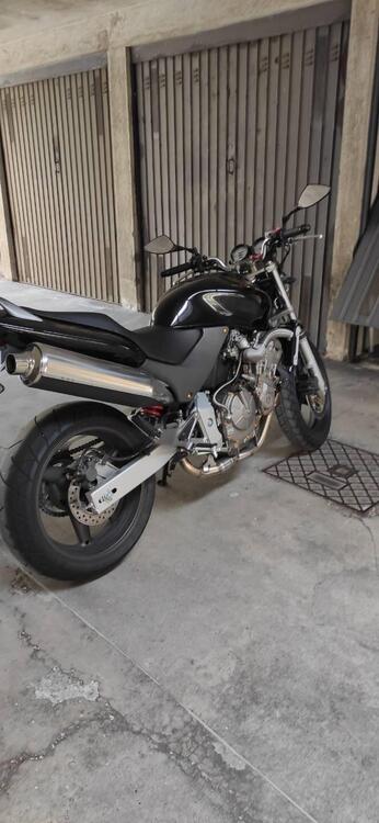 Honda Hornet 600 (2000 - 02)