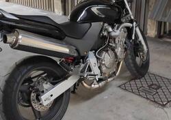 Honda Hornet 600 (2000 - 02) usata