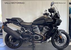 Harley-Davidson Pan America 1250 Special (2020 - 25) usata