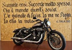 Harley-Davidson 883 R (2008 - 16) - XL 883R usata