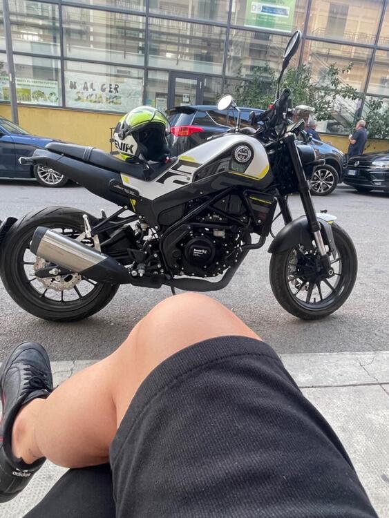 Benelli Leoncino 250 (2021 - 25) (4)