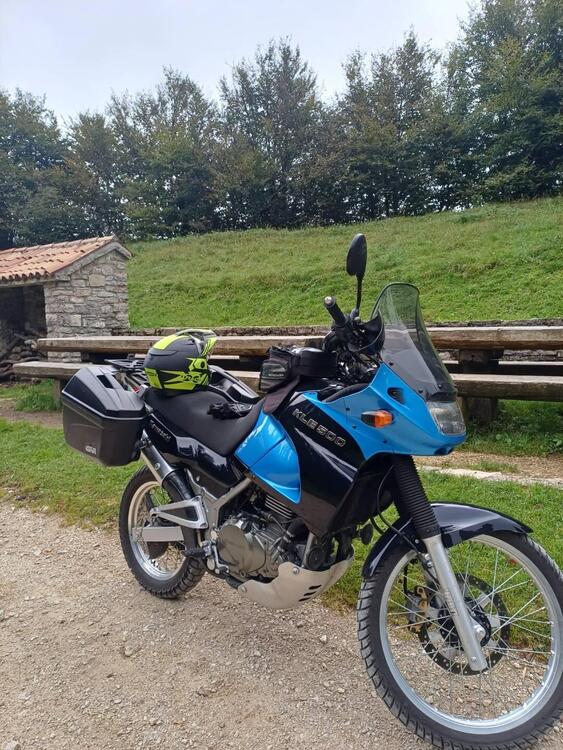 Kawasaki KLE 500 (2001 - 04)