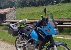 Kawasaki KLE 500 (2001 - 04) usata