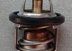 19300KM1003 Termostato CN250/FES/NSS Honda