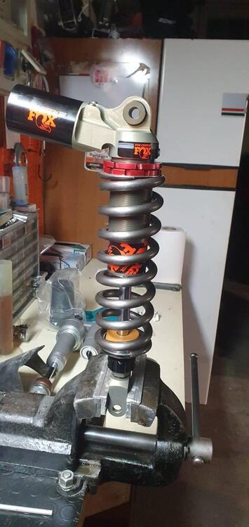 Yamaha Ténéré 700 (2019 - 20) (4)