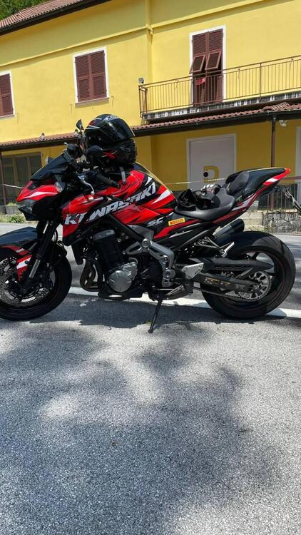 Kawasaki Z 900 A2 (2019) (2)