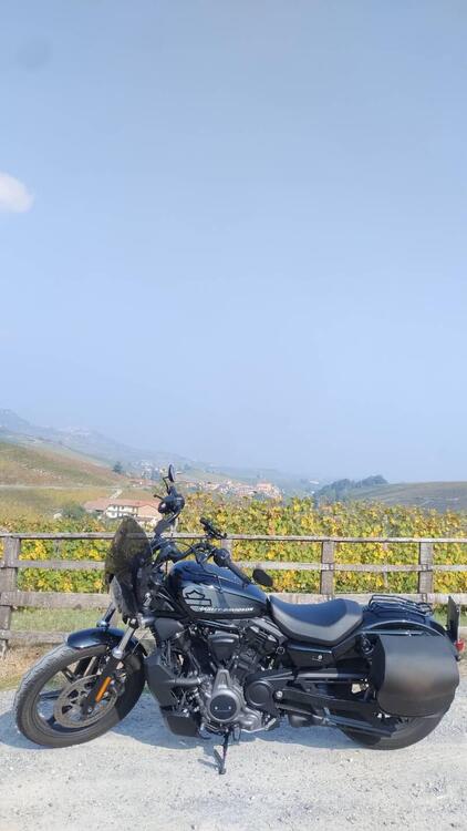 Harley-Davidson Nightster (2023 - 25)