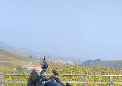 Harley-Davidson Nightster (2023 - 25) usata