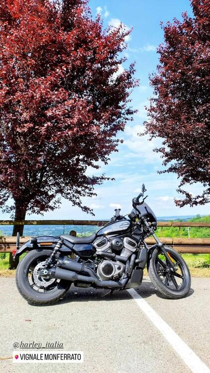 Harley-Davidson Nightster (2023 - 25) (2)