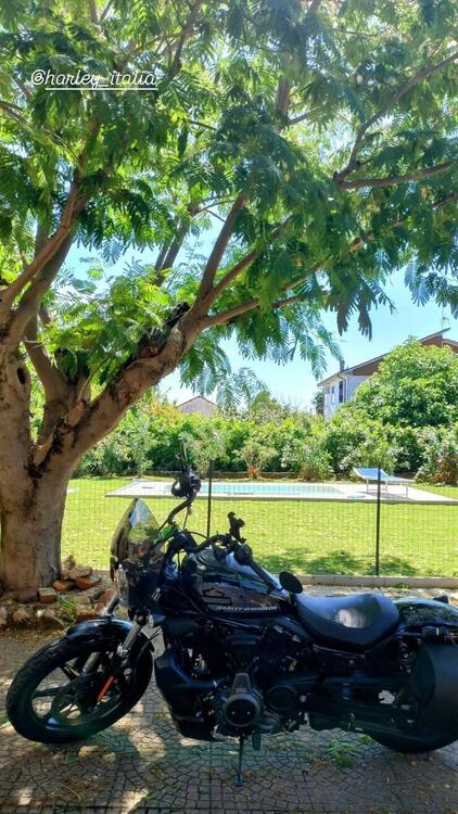 Harley-Davidson Nightster (2023 - 25) (3)