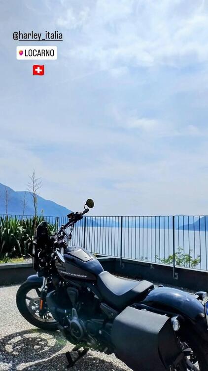 Harley-Davidson Nightster (2023 - 25) (4)