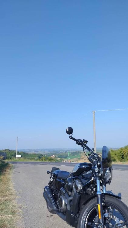 Harley-Davidson Nightster (2023 - 25) (5)