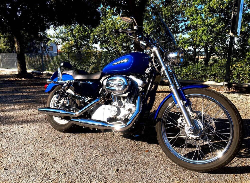 Harley-Davidson 883 Low (2008 - 12) - XL 883L (2)