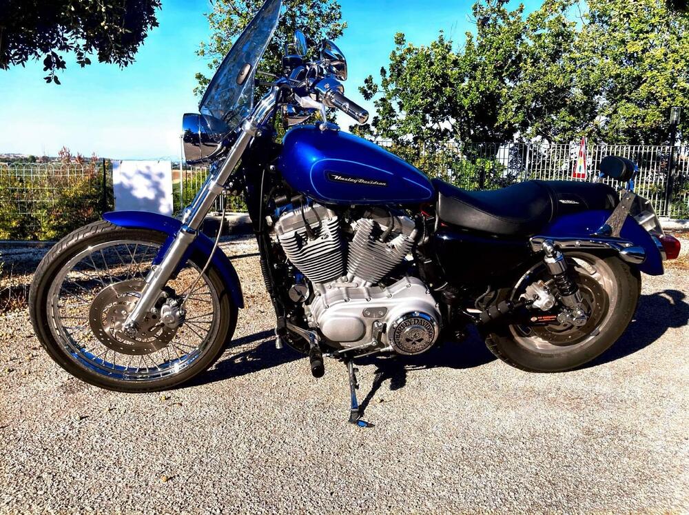 Harley-Davidson 883 Low (2008 - 12) - XL 883L (3)