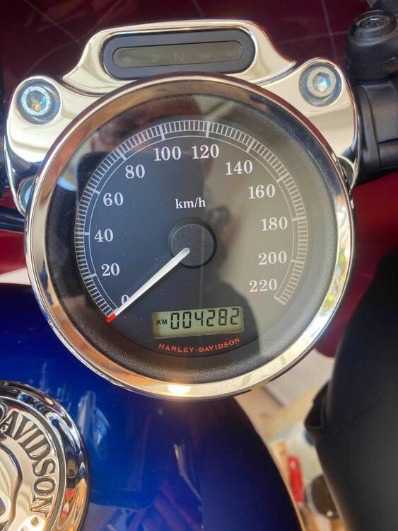 Harley-Davidson 883 Low (2008 - 12) - XL 883L (4)