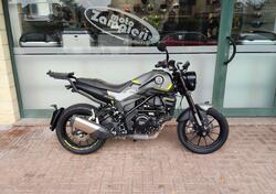 Benelli Leoncino 250 (2021 - 25) usata