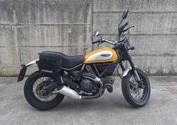 Ducati Scrambler 800 Classic (2015 - 16) usata